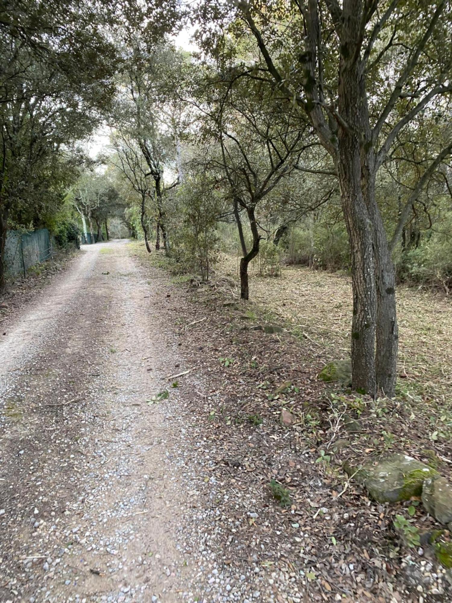 La Villa Le Cannet-des-Maures Zewnętrze zdjęcie