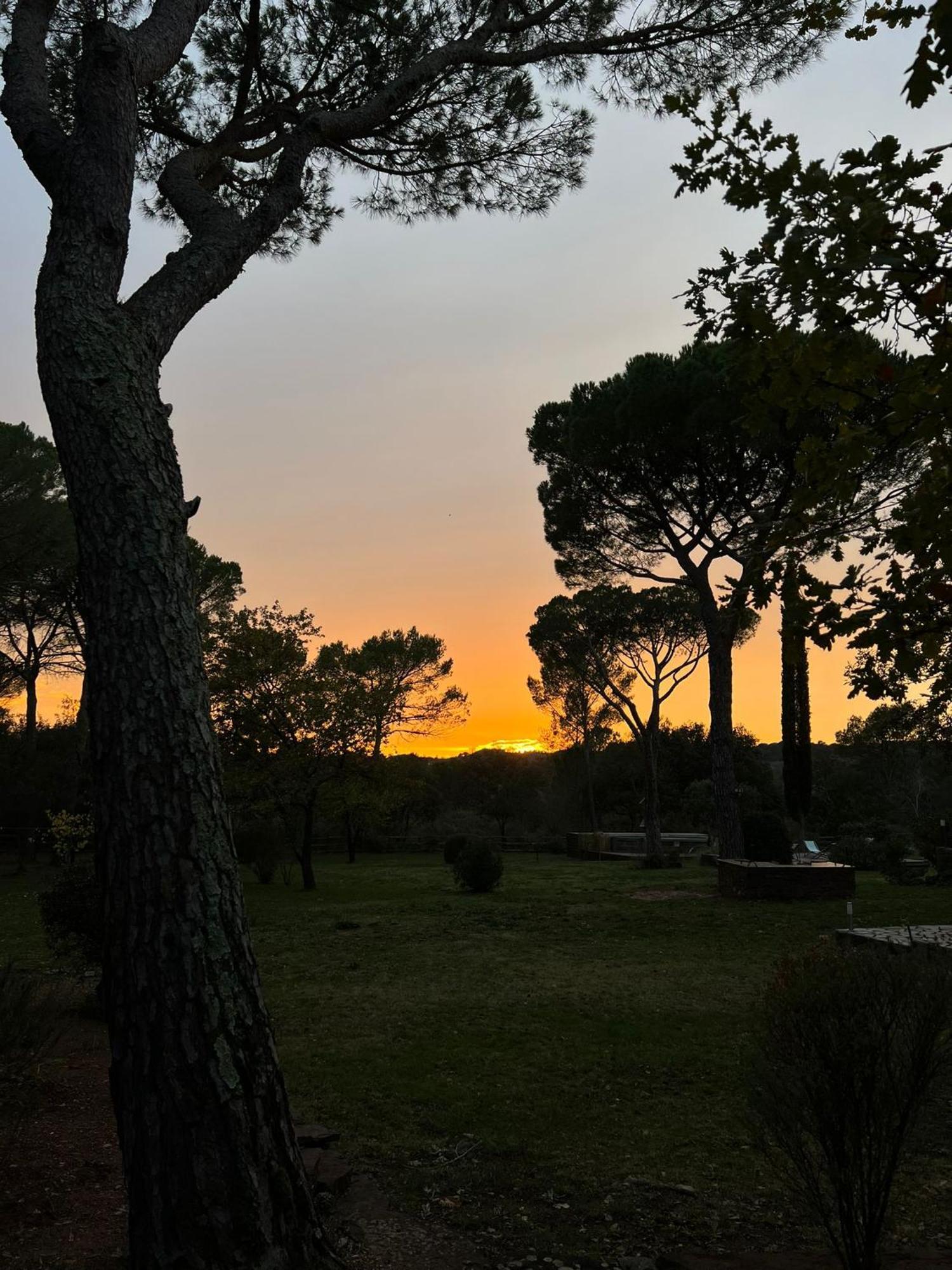 La Villa Le Cannet-des-Maures Zewnętrze zdjęcie